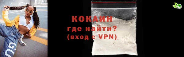 гашик Вяземский