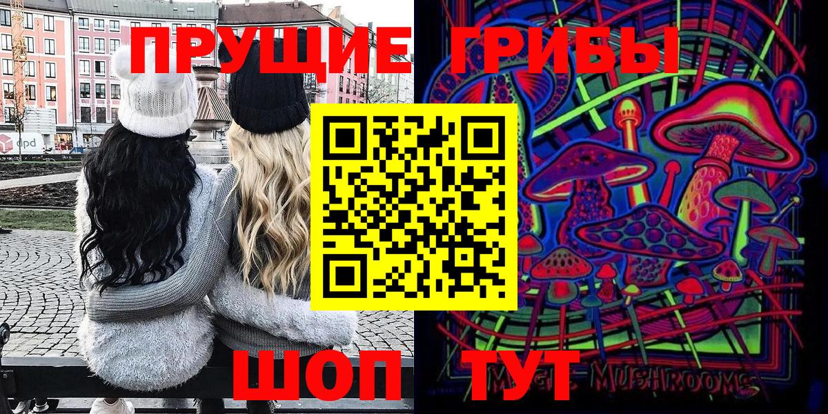 Искитим  Псилоцибиновые грибы прущие грибы  Вход с VPN 